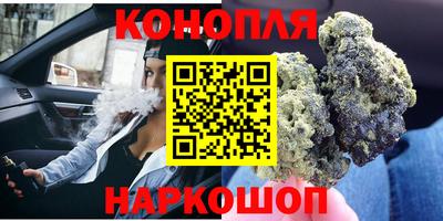 Альфа ПВП Пенза