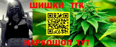 Альфа ПВП Пенза