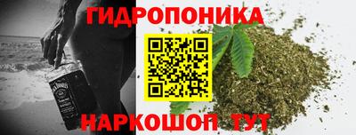 Альфа ПВП Пенза