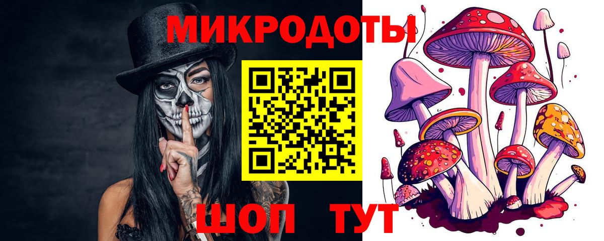 Тайшет  Галлюциногенные грибы GOLDEN TEACHER  Псилоцибиновые грибы ЛСД  Вход с VPN 